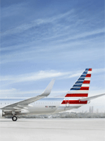 American Airlines case study example